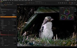 Capture One Pro 23 Crack