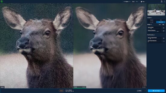 Topaz DeNoise AI 3.7.2 Crack Full Version 2024